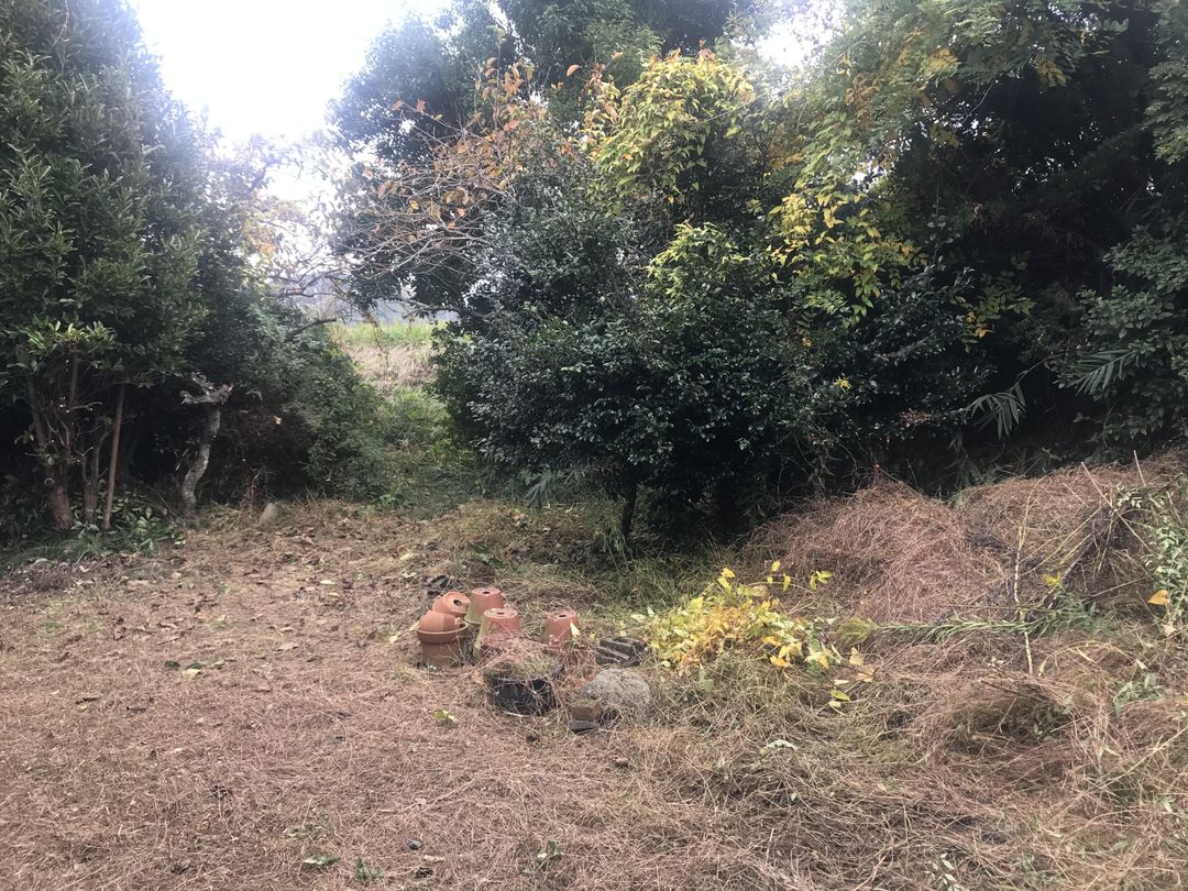 Land with Old House and Farm Plots in Tsuyama, Okayama - Image 1