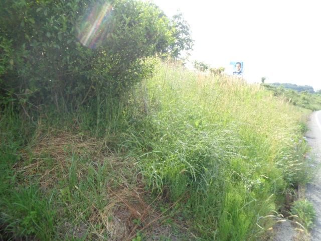467 sqm Development Land for Sale in Tsuyama, Okayama - Thumbnail 3