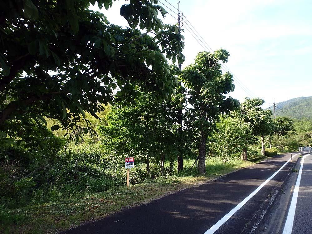 6,430 sqm Land for Sale in Hiruzen, Maniwa, Okayama - Thumbnail 3