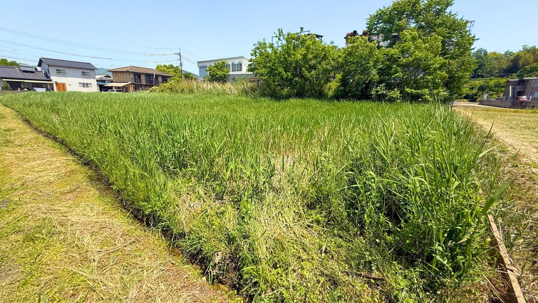Agricultural Land for Sale in Asakuchi City, Okayama - Thumbnail 3