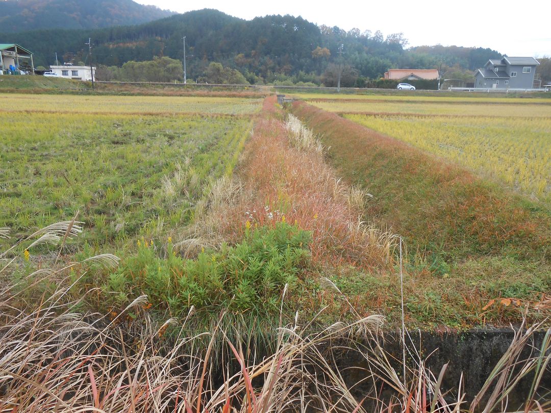 741.43 Tsubo Type 1 Farmland for Sale in Misaki, Okayama - Thumbnail 4