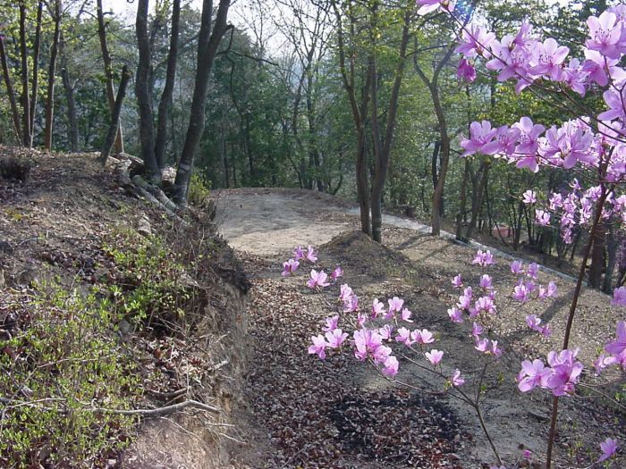 1,193 sqm Residential Land for Sale in Mimasaka, Okayama - Thumbnail 2