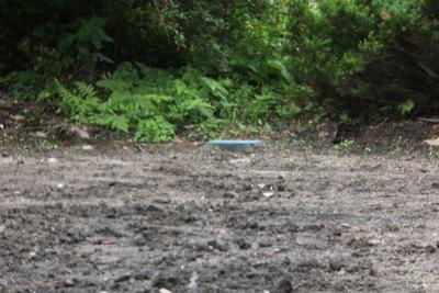 No.171 A residential property in a quiet city with a long history. - Okuizumi Living Memo | Oku-Izumo Town Migration, Settlement, Employment, Child-Rearing Information — Image 2, Okuizumo, Shimane