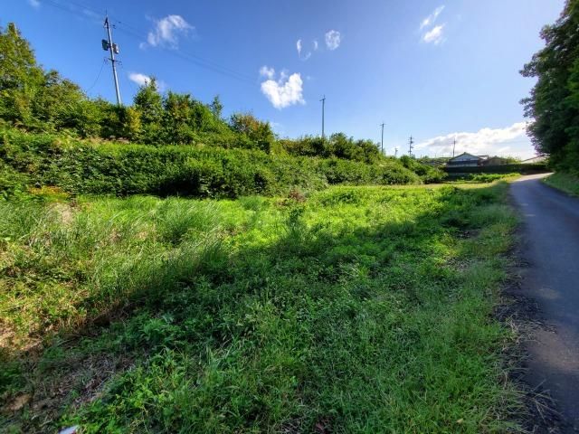 1,448 sqm Land for Sale in Tsuyama, Okayama with 78m Paved Frontage - Thumbnail 2