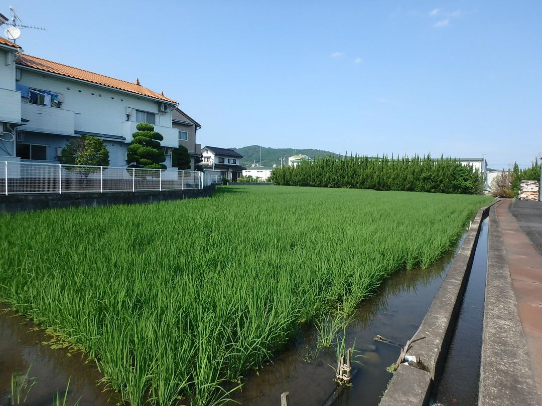 839 sqm Land for Sale in Tsuyama, Okayama - Industrial Zone - Image 1