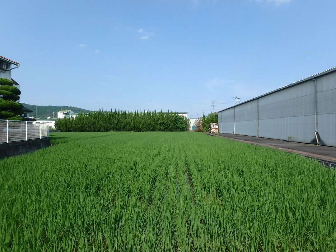 839 sqm Land for Sale in Tsuyama, Okayama - Industrial Zone - Thumbnail 3