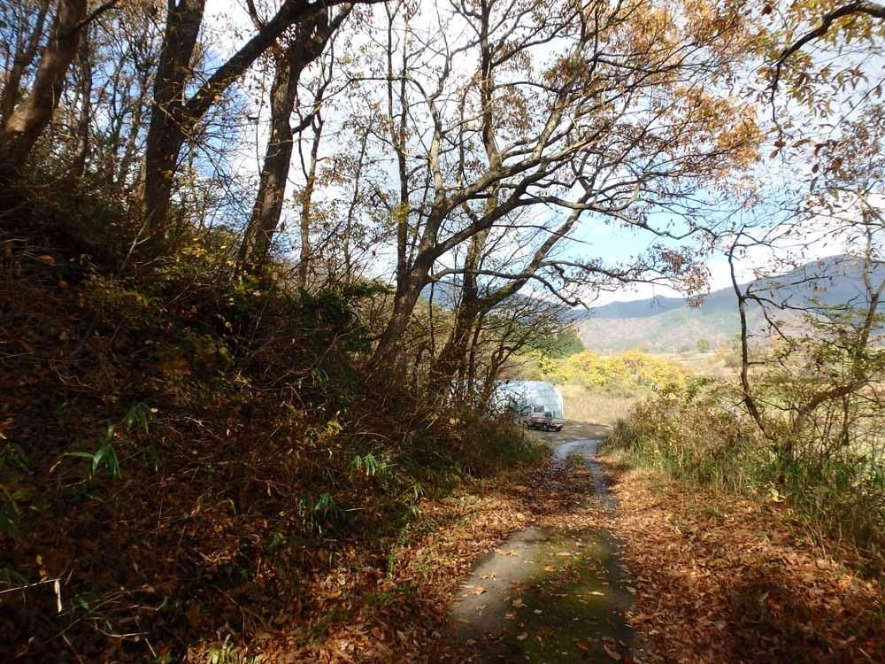1,965 Tsubo Wilderness Land for Sale in Hiruzen, Okayama - Thumbnail 3