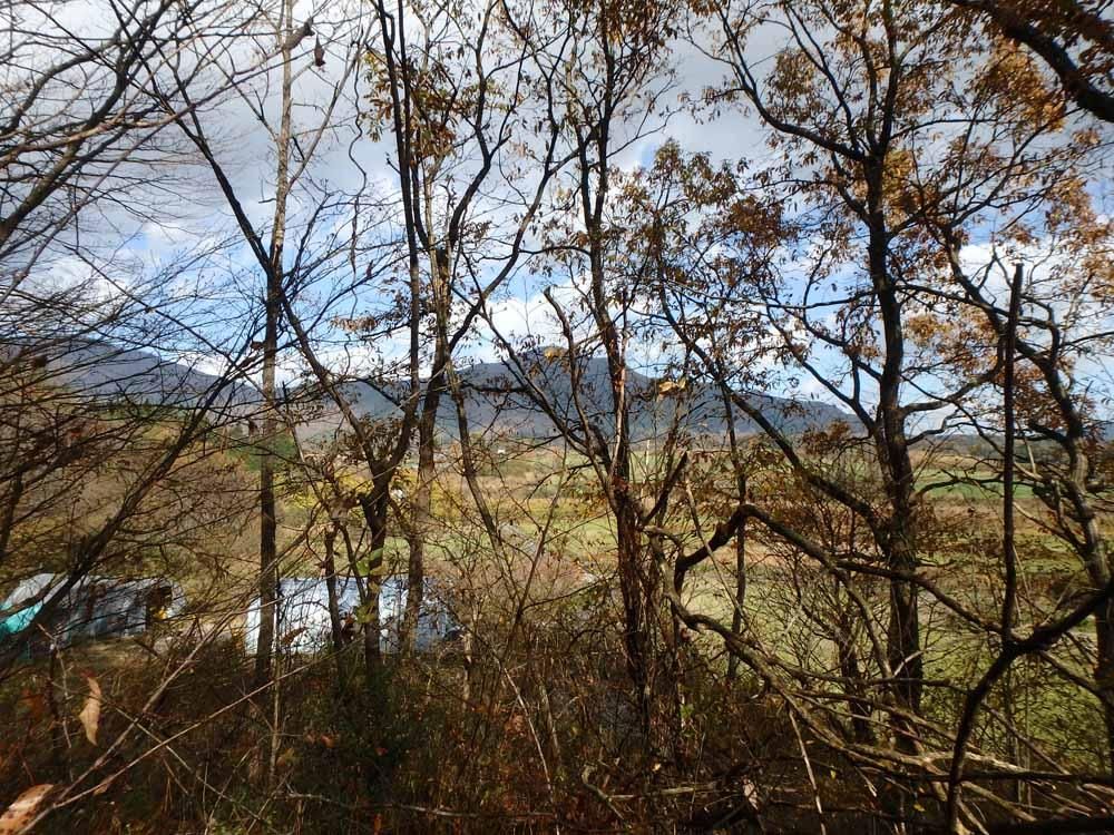 1,965 Tsubo Wilderness Land for Sale in Hiruzen, Okayama - Thumbnail 4