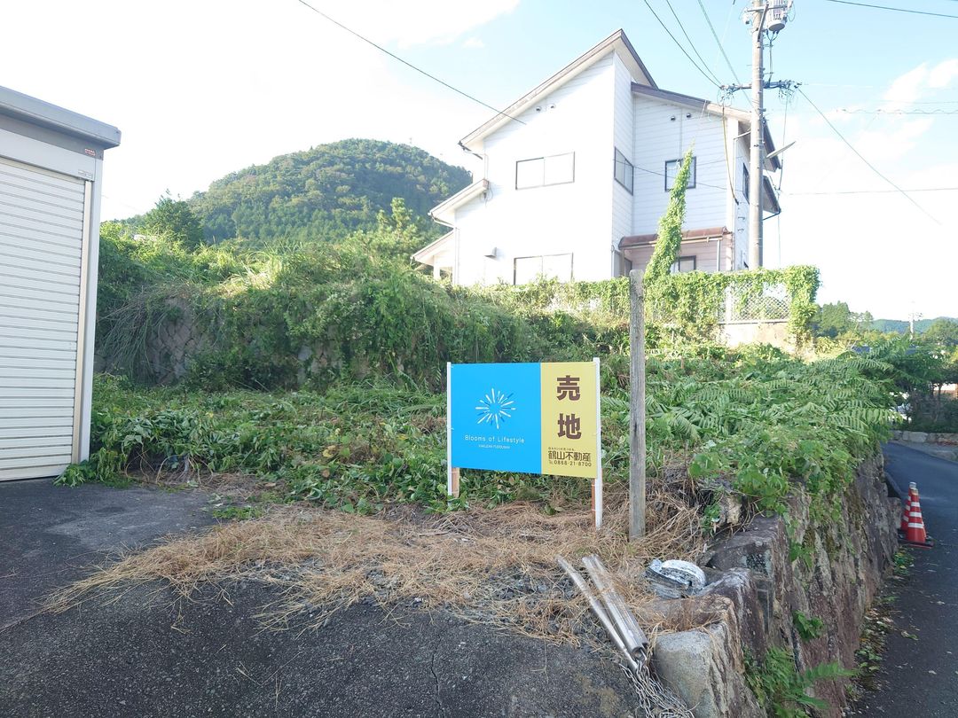 Land for Sale in Tsuyama, Okayama - 265.1 sqm Plot - Thumbnail 4