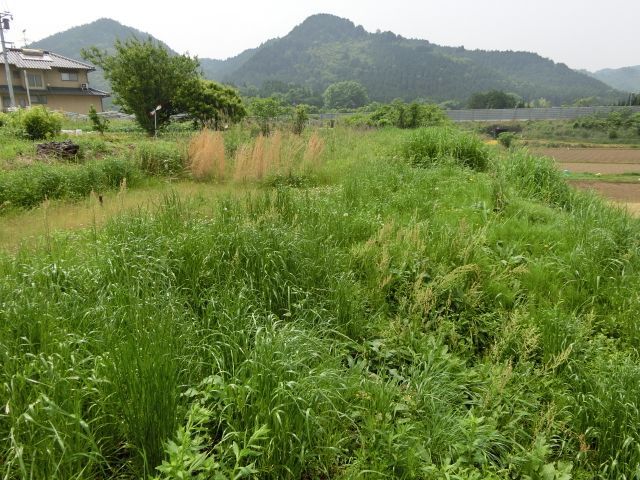 475 sqm Land for Sale in Misasa, Okayama with Road Frontage - Thumbnail 4