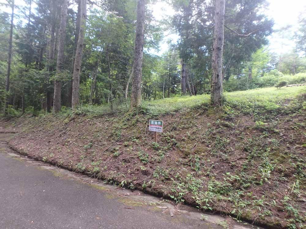 203 sqm Mountain Land for Sale in Maniwa, Okayama - Thumbnail 4
