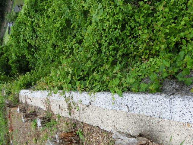 Land for Sale in Mimasaka, Okayama - 165sqm Plot Near Yuno Onsen - Thumbnail 2