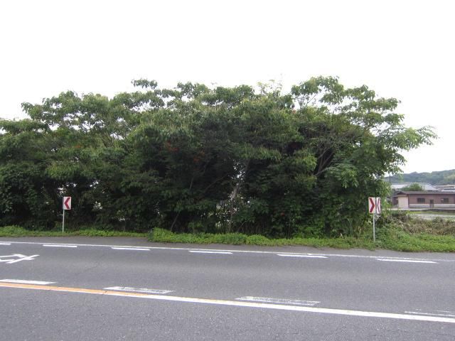 313 sqm Residential Land for Sale in Kurashiki, Okayama - Thumbnail 3