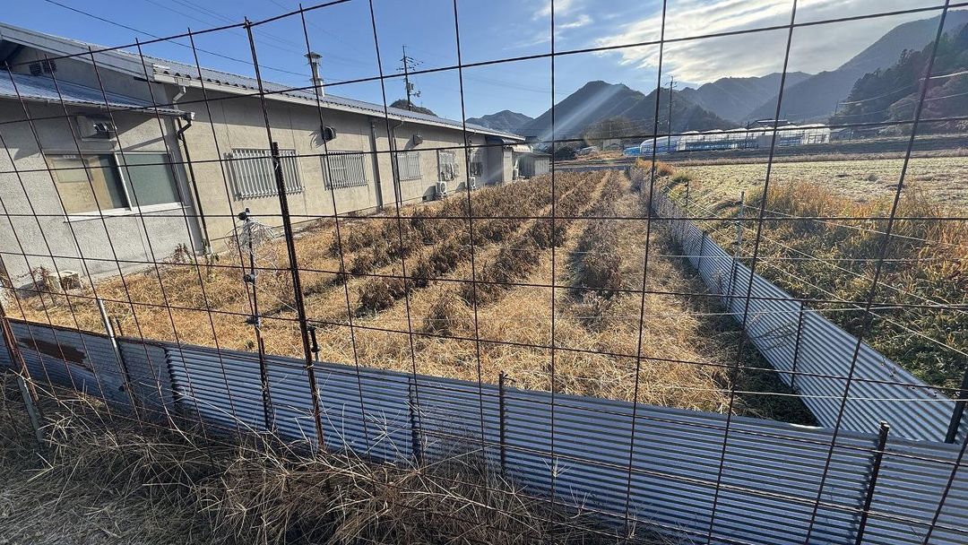 4776 sqm Land for Sale in Akaiwa, Okayama - Vacant Plot - Thumbnail 3