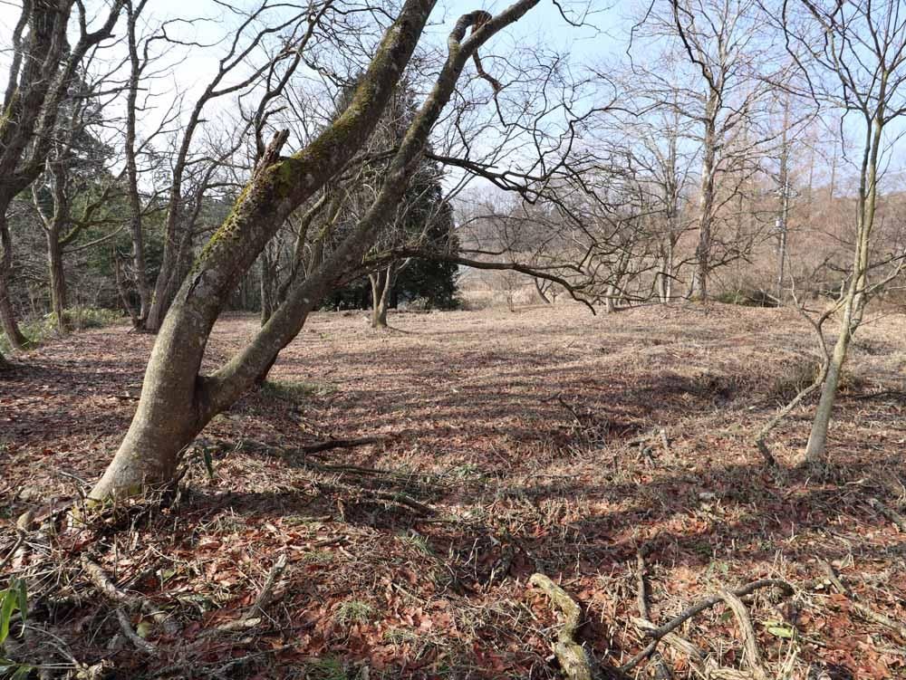 Land for Sale in Hirusen Yubune, Maniwa City, Okayama - Thumbnail 2