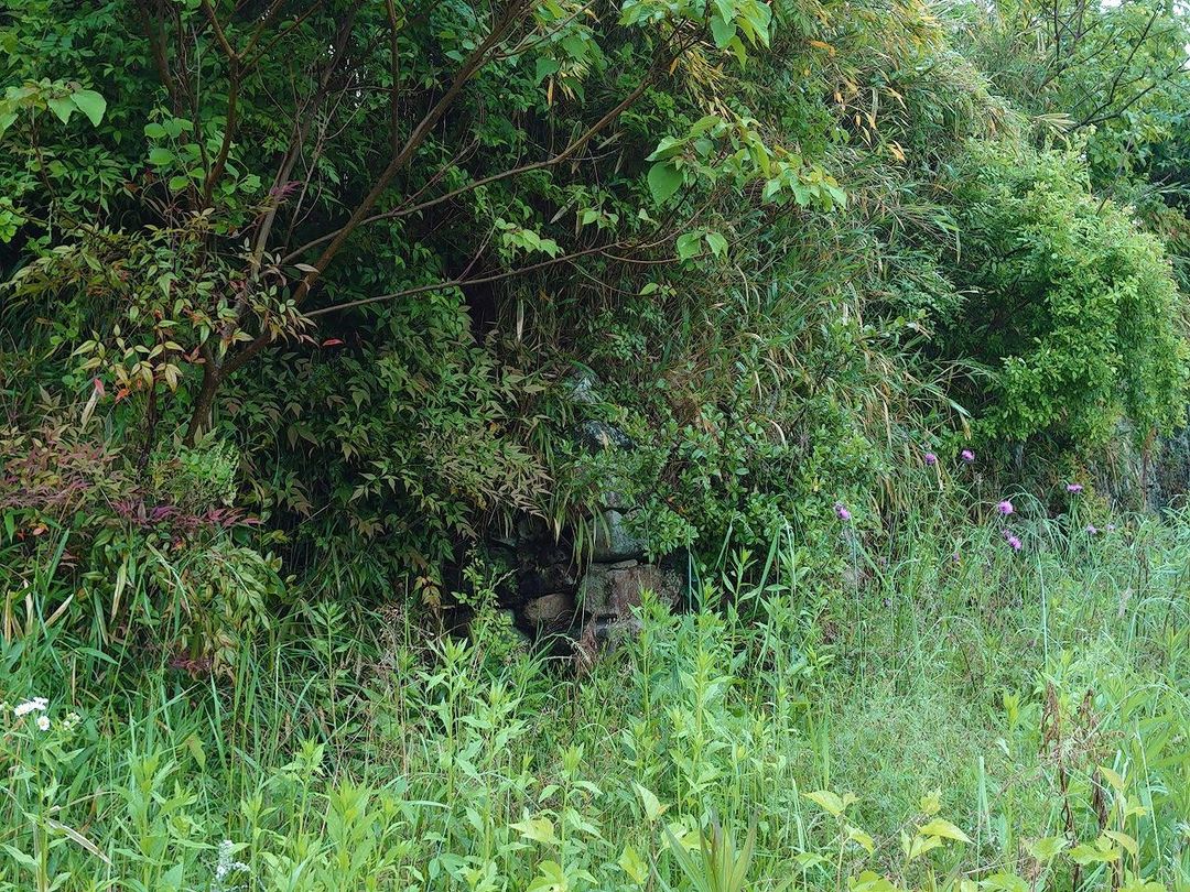 Land for Sale in Okayama City with Existing Old House - Thumbnail 3
