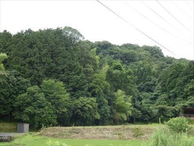 95,272 sqm Land for Sale in Tsuyama, Okayama with Mountain Views - Thumbnail 4
