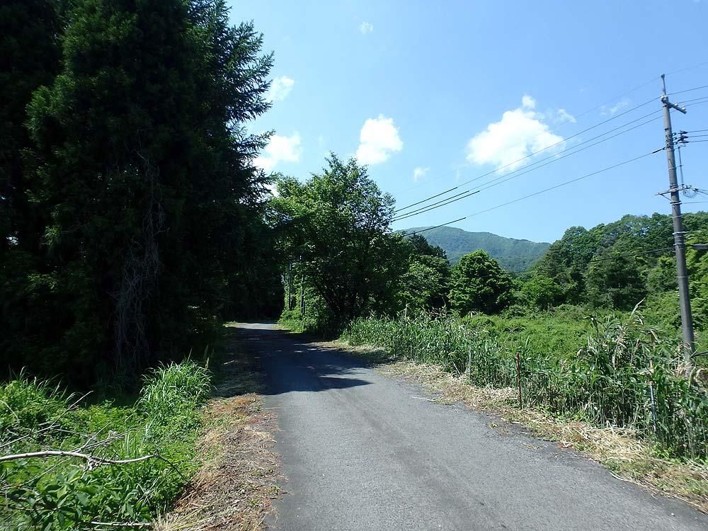 Forest Land for Sale in Maniwa, Okayama - 2,389 sqm - Thumbnail 2