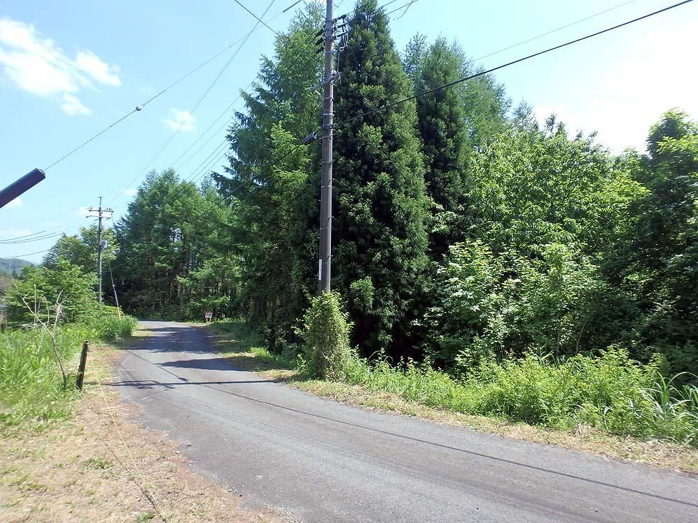 Forest Land for Sale in Maniwa, Okayama - 2,389 sqm - Thumbnail 3