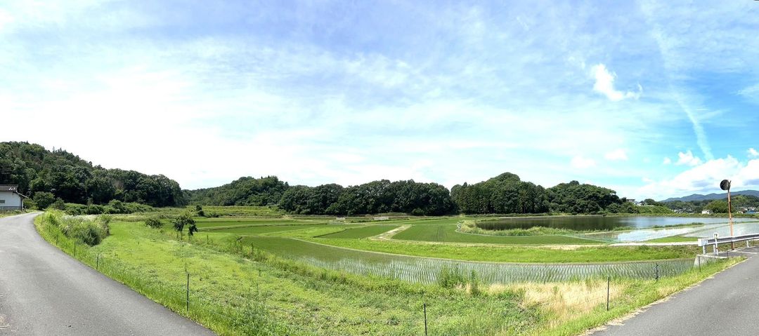 137.51 Tsubo Land Plot with Farm Views in Okayama's Hirayama - Thumbnail 2