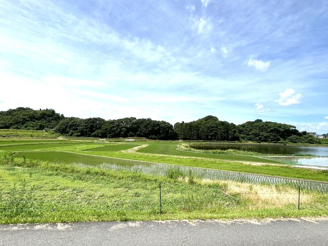 137.51 Tsubo Land Plot with Farm Views in Okayama's Hirayama - Thumbnail 4