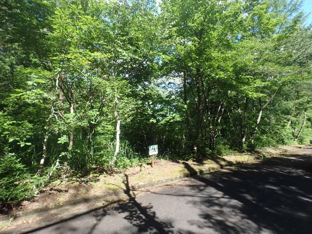 220 sqm Mountain Land for Sale in Maniwa, Okayama - Thumbnail 4