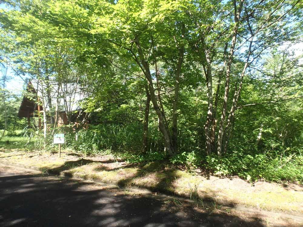 220 sqm Mountain Land for Sale in Maniwa, Okayama - Thumbnail 3