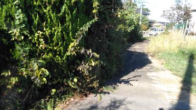 Arauchi Nishifuruya Arauchi Nishi, Nagi-cho, Katsuta-gun, Okayama Prefecture Katsumata Station Used detached house property details (00532405) - Living Okayama — Image 3, Nagi, Okayama