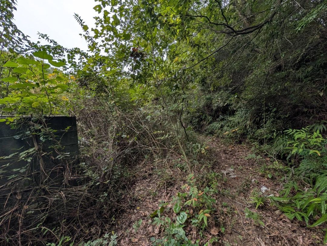 326 sqm Residential Land for Sale in Tamano, Okayama - Thumbnail 3