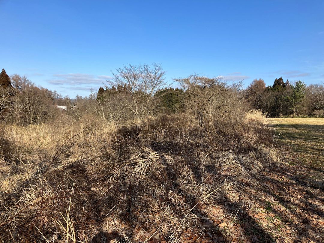 Large 1669 Tsubo Land for Sale in Maniwa, Okayama - Thumbnail 3
