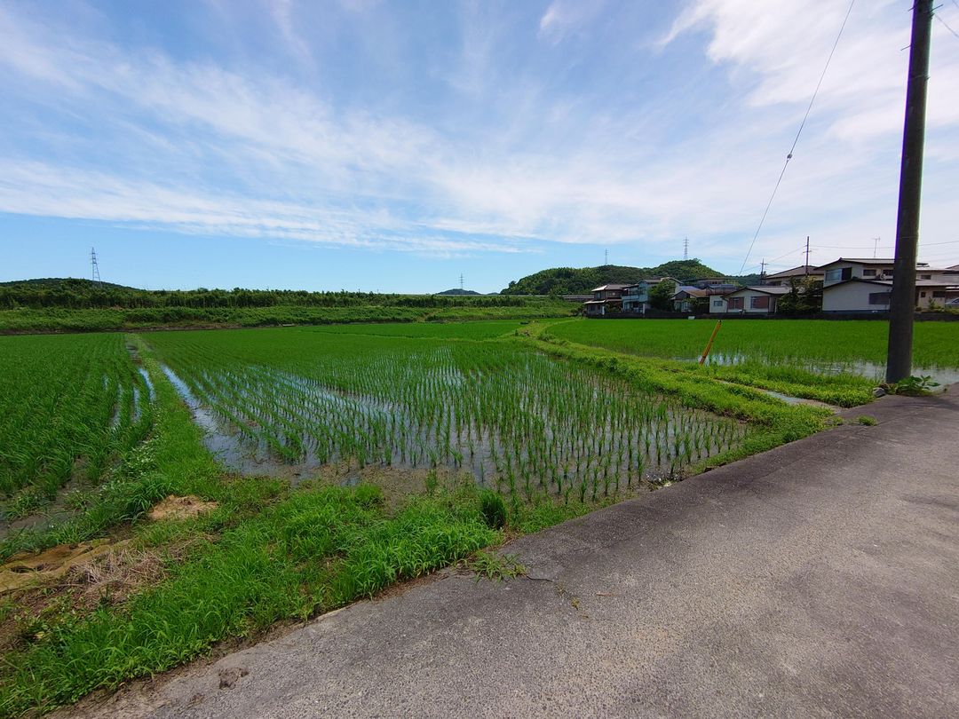 Agricultural Land for Sale in Asakuchi, Okayama - 3420 sqm - Thumbnail 4