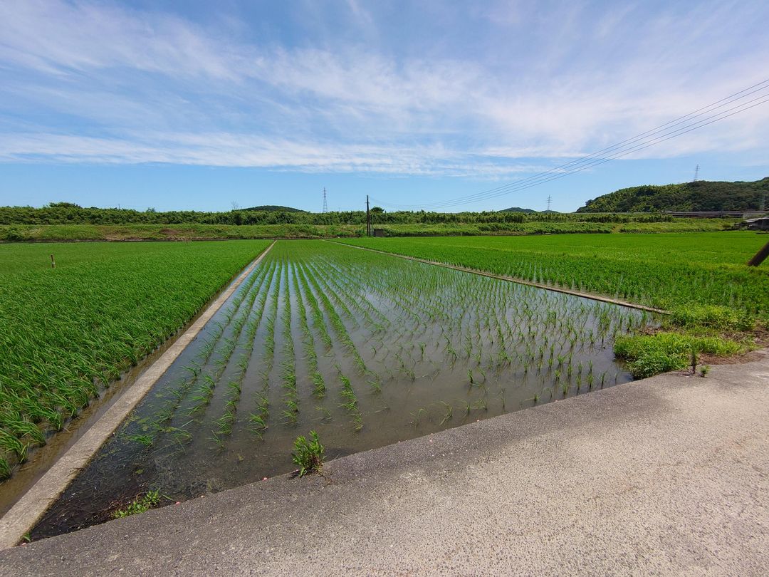 Agricultural Land for Sale in Asakuchi, Okayama - 3420 sqm - Thumbnail 2