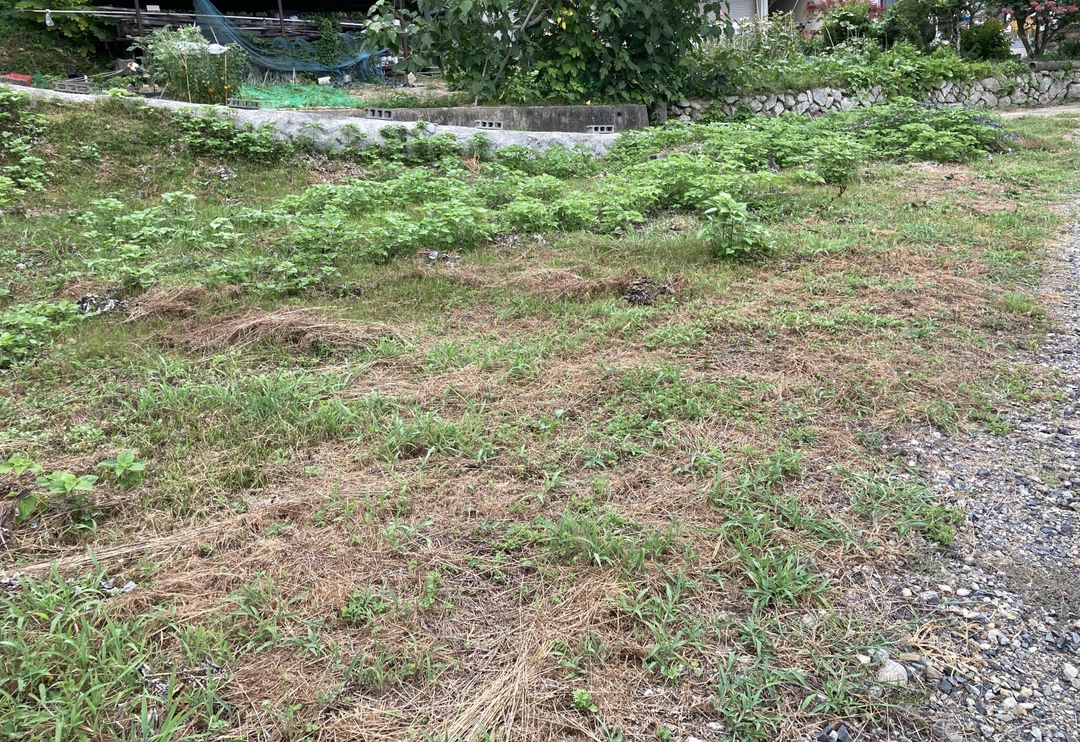 333 sqm Land for Sale in Tsuyama, Okayama - Sloping Plot - Thumbnail 3