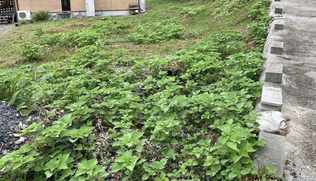 333 sqm Land for Sale in Tsuyama, Okayama - Sloping Plot - Thumbnail 2