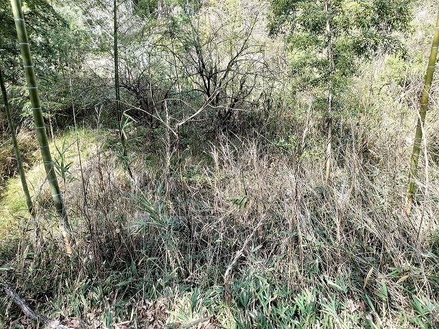 Agricultural Land for Sale in Kurashiki, Okayama - 209 sqm - Thumbnail 4