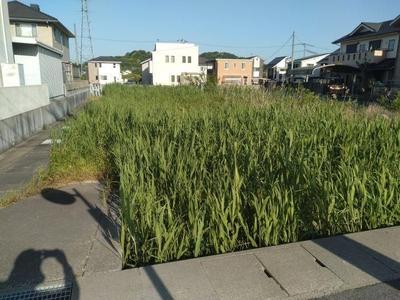 Land for Sale in Kasaoka, Okayama - 470 sqm — Land, Kasaoka, Okayama