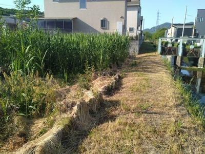 Land for Sale in Kasaoka, Okayama - 470 sqm — Land, Kasaoka, Okayama