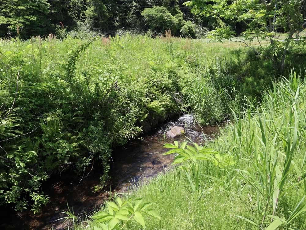 514 sqm Riverfront Land for Sale in Maniwa, Okayama - Thumbnail 2
