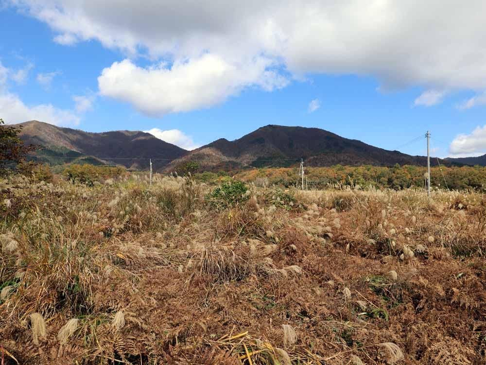 Vacant Land for Sale in Hiruzen, Okayama - Build Your Retreat - Thumbnail 2