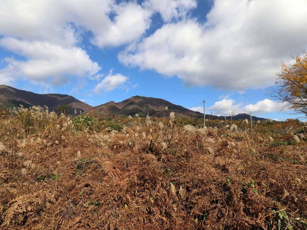 Vacant Land for Sale in Hiruzen, Okayama - Build Your Retreat - Thumbnail 3