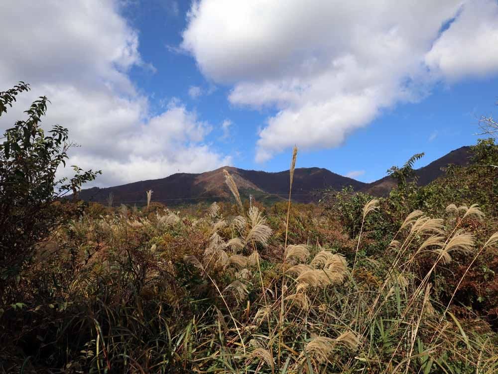 Vacant Land for Sale in Hiruzen, Okayama - Build Your Retreat - Thumbnail 4