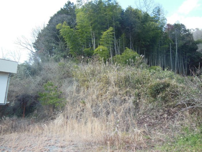 Office Building with 788 sqm Land & Extra Forest Plot in Mimasaka - Thumbnail 3