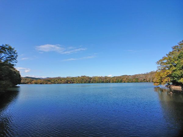 Land for Sale in Itopia Izu Ippeki Resort, Ito, Shizuoka - 554 sqm - Thumbnail 2