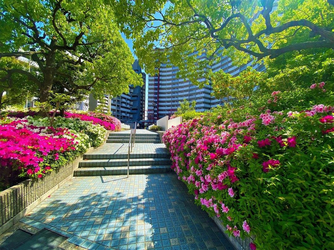 3LDK Apartment for Sale in Minato Ward, Osaka 93.82m² - Thumbnail 3