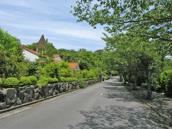 Land for Sale in Jogasaki Resort, Ito City, Shizuoka - Thumbnail 3