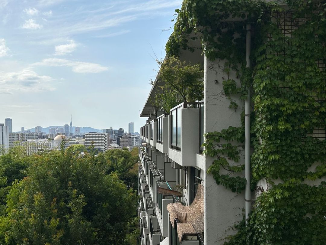 Renovated 3LDK Apartment in Chuo Ward, Fukuoka - Thumbnail 2
