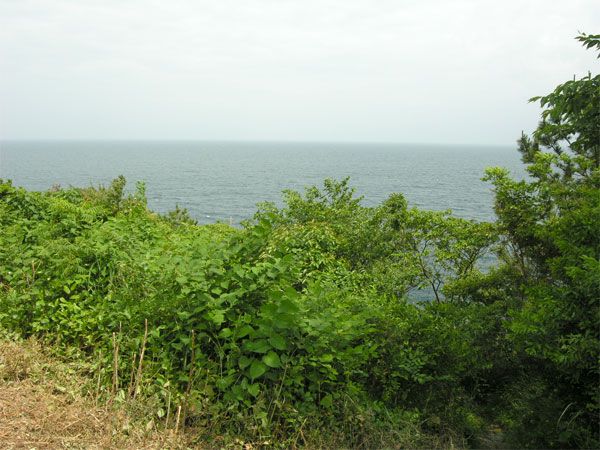Land for Sale in Izu Highland, Fuyama Onsen Villa District - Thumbnail 2