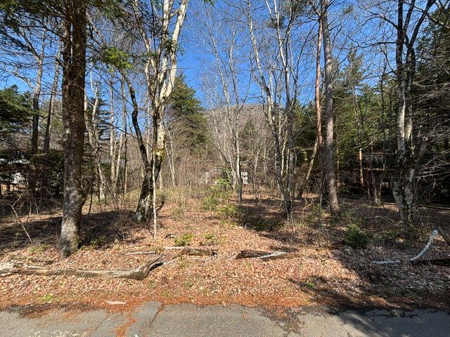 Prime Land for Sale in Old Karuizawa, 1,111 sqm - Thumbnail 4