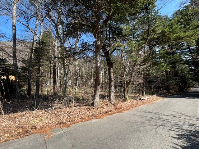 Prime Land for Sale in Old Karuizawa, 1,111 sqm - Thumbnail 3