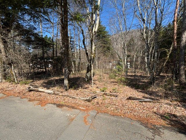 Prime Land for Sale in Old Karuizawa, 1,111 sqm - Thumbnail 2